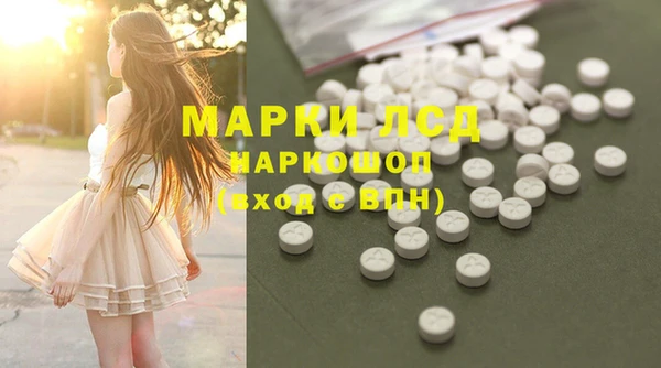прущие грибы Абдулино