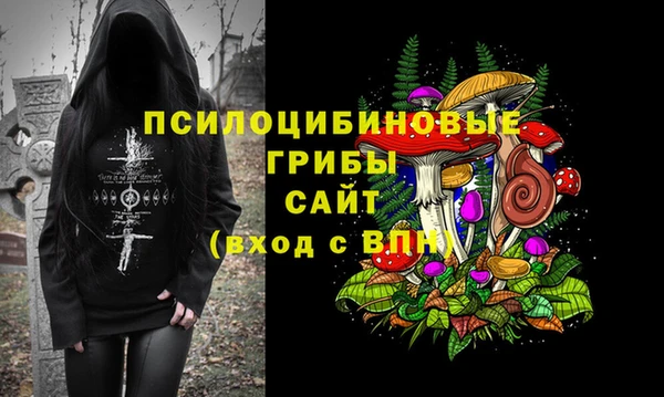 героин Алексин