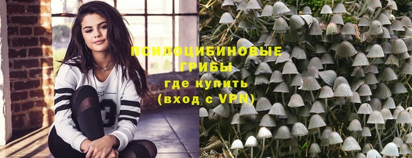 дживик Няндома