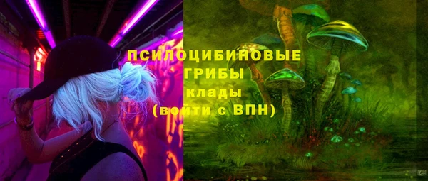 ПСИЛОЦИБИНОВЫЕ ГРИБЫ Алексеевка