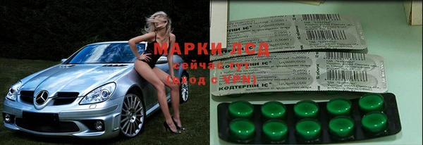 ПСИЛОЦИБИНОВЫЕ ГРИБЫ Алексеевка