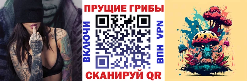 Псилоцибиновые грибы Psilocybe Новочеркасск