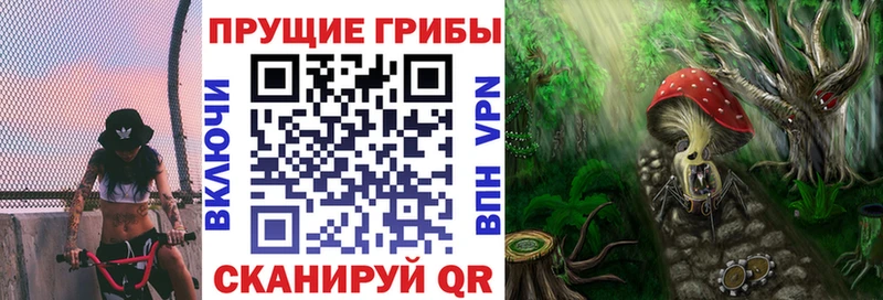 где купить наркотик  гидра tor  Галлюциногенные грибы Psilocybe  Новочеркасск 