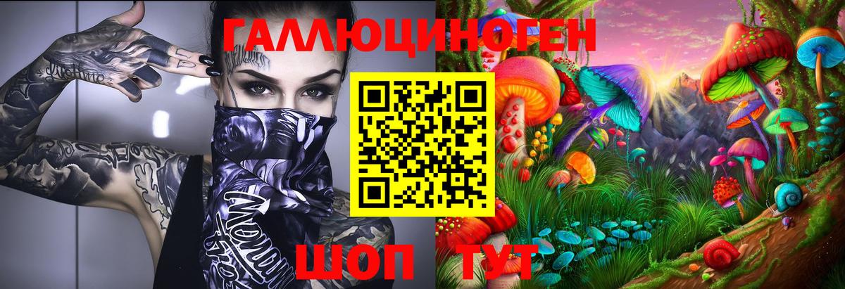 Псилоцибиновые грибы Psilocybe  наркота  Новочеркасск  Галлюциногенные грибы GOLDEN TEACHER  Вход с VPN 
